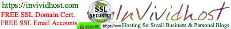 InVividhost for Small Business & Personal Blogs
